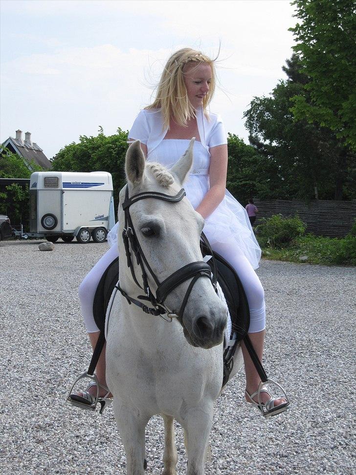 Anden særlig race Amidas - Konfirmation 22maj! <3 billede 6