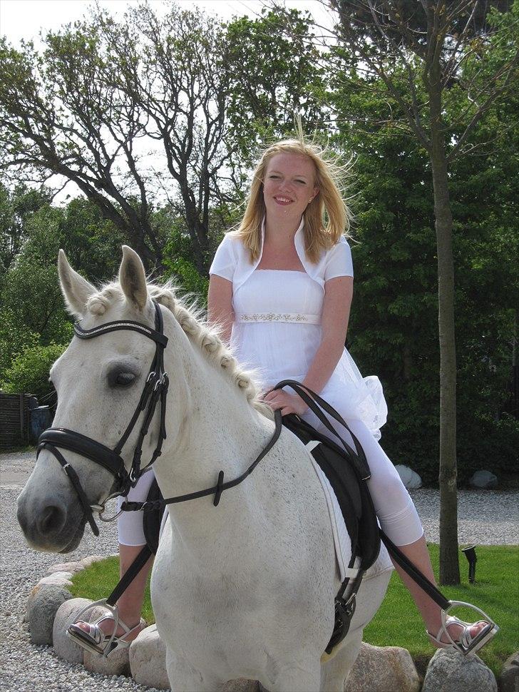 Anden særlig race Amidas - Konfirmation 22maj! <3 billede 7