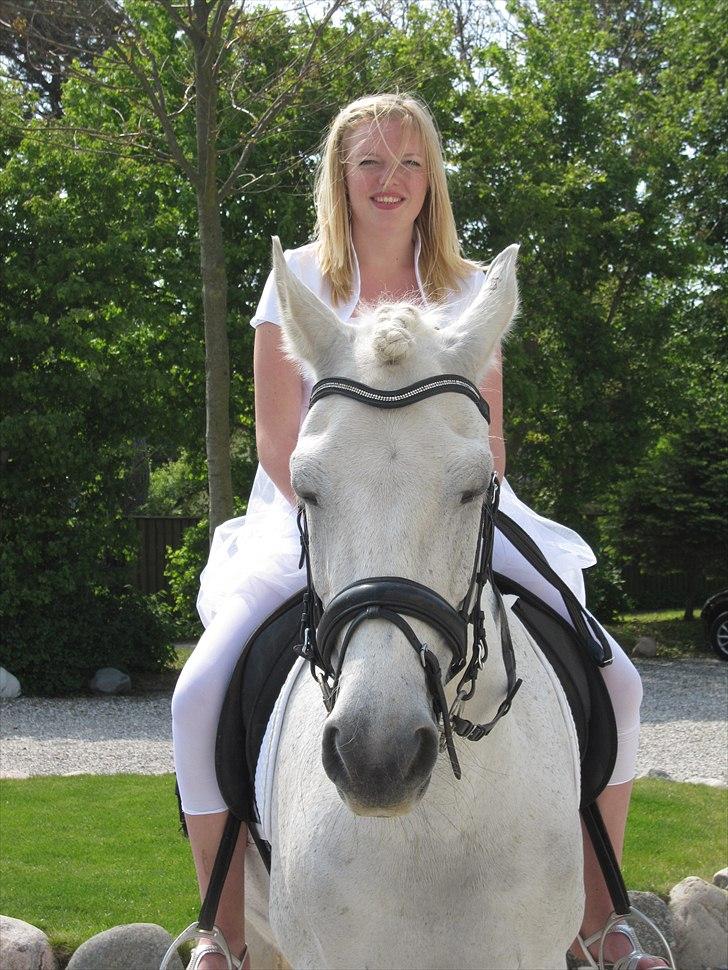 Anden særlig race Amidas - Konfirmation 22maj! <3 billede 8