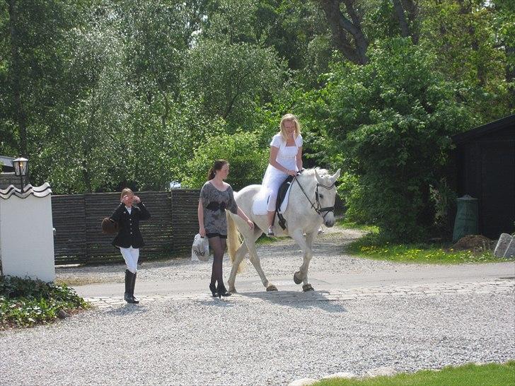 Anden særlig race Amidas - Konfirmation 22maj! <3 billede 9