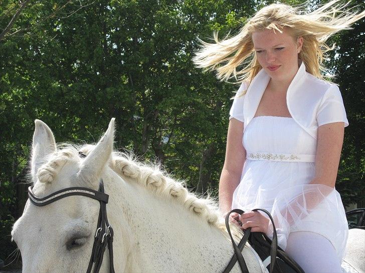 Anden særlig race Amidas - Konfirmation 22maj! <3 billede 10