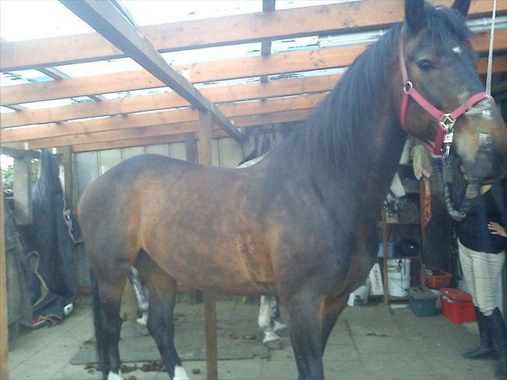 Anden særlig race Ronja - eFTER SPRING  billede 8