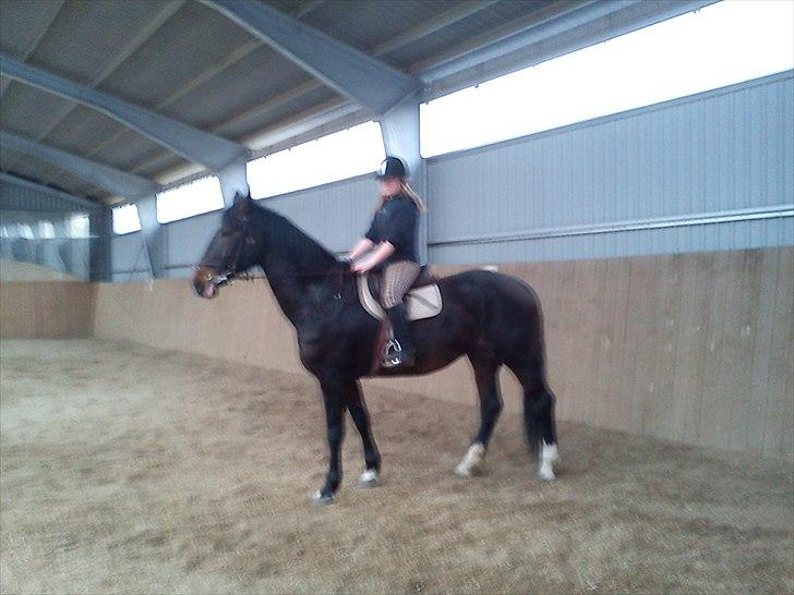 Anden særlig race Ronja billede 20