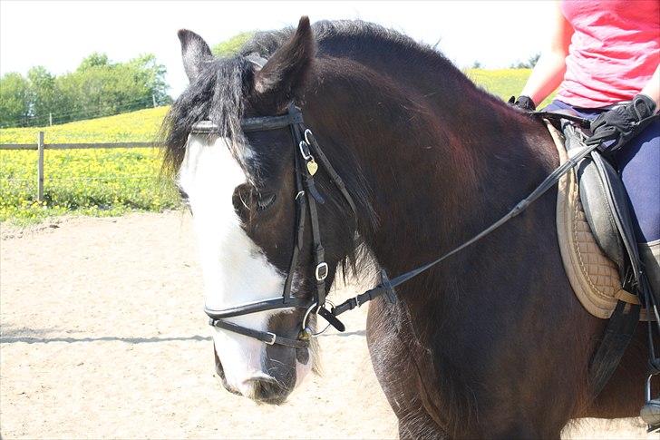 Tinker Akillieus/Jarjar - 05-maj billede 13