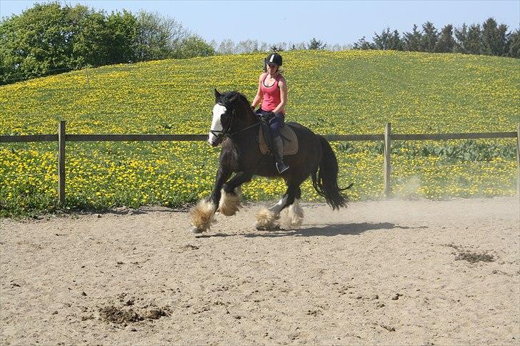 Tinker Akillieus/Jarjar - 05-maj billede 14