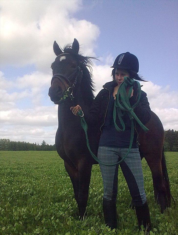 Anden særlig race Gamello Star***  billede 17