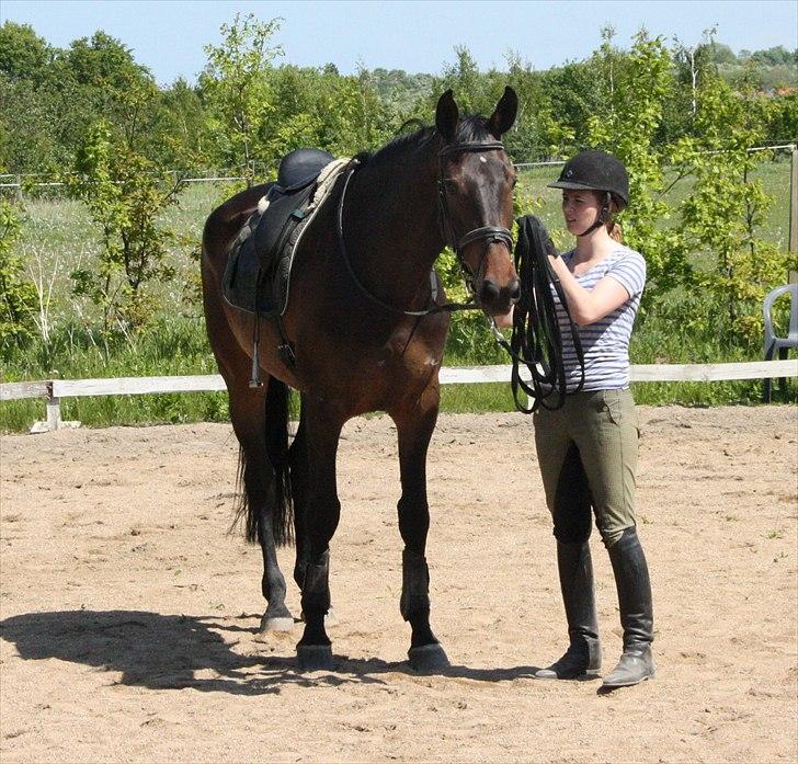 Holstener Enghøjs Minuet billede 3