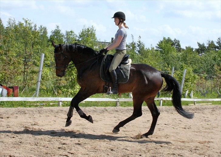 Holstener Enghøjs Minuet billede 5