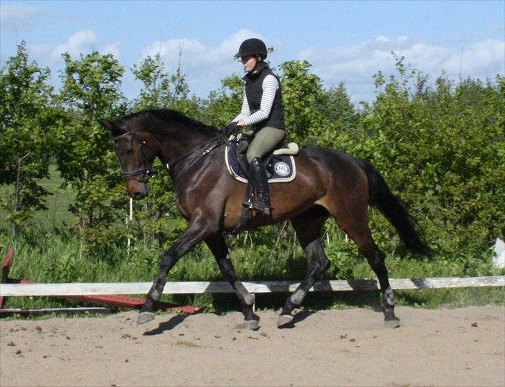 Holstener Enghøjs Minuet billede 6