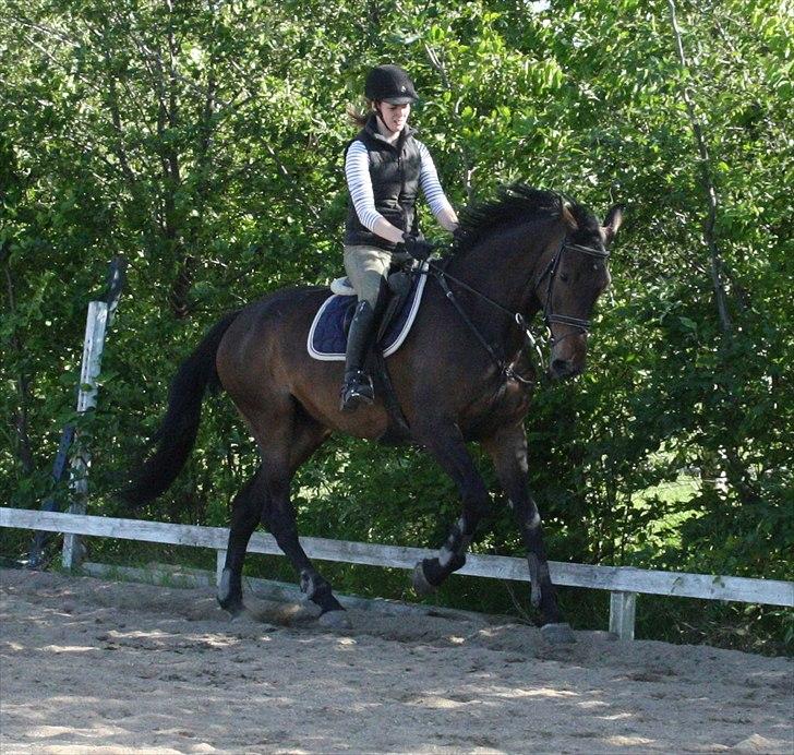 Holstener Enghøjs Minuet billede 7