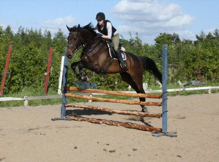 Holstener Enghøjs Minuet billede 8