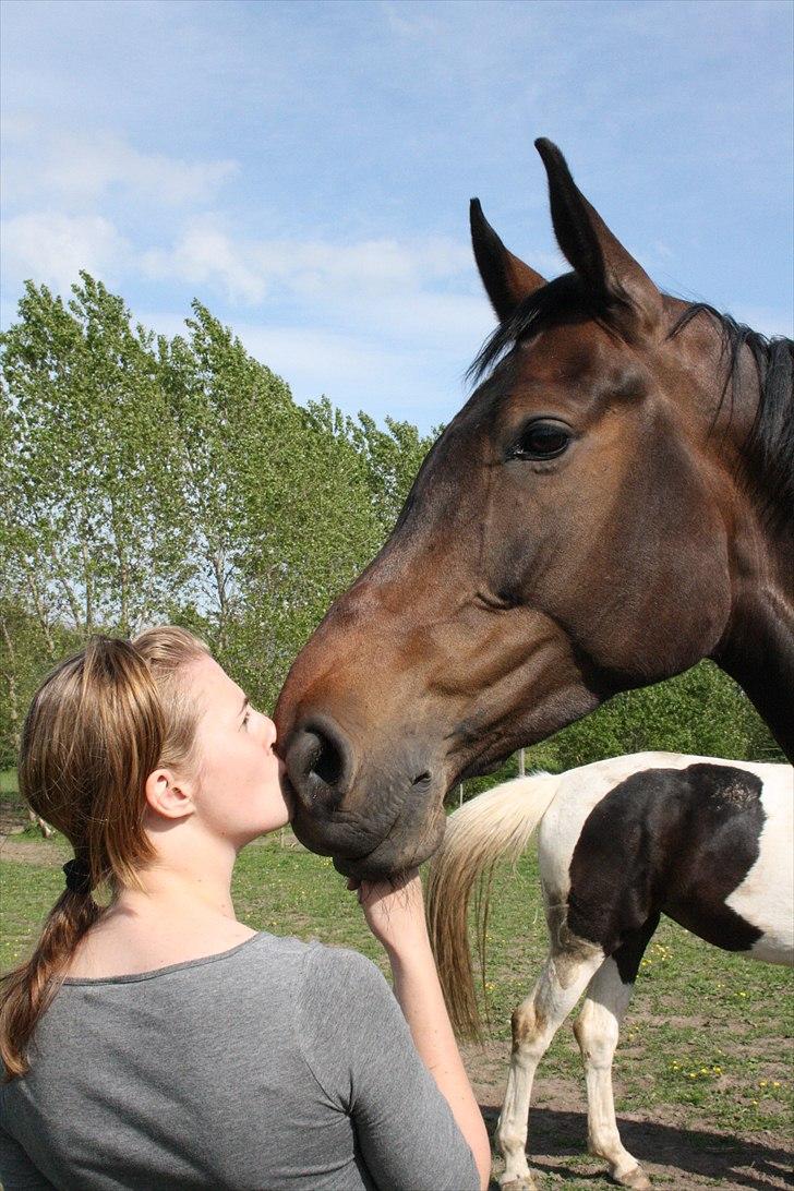 Holstener Enghøjs Minuet billede 9