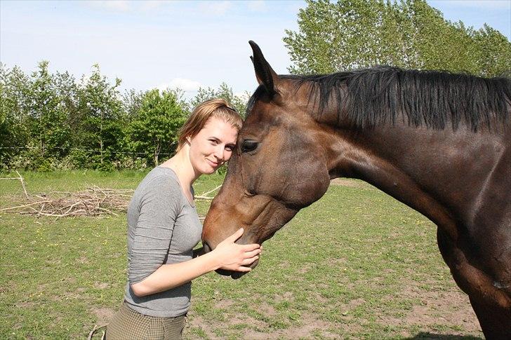 Holstener Enghøjs Minuet billede 10