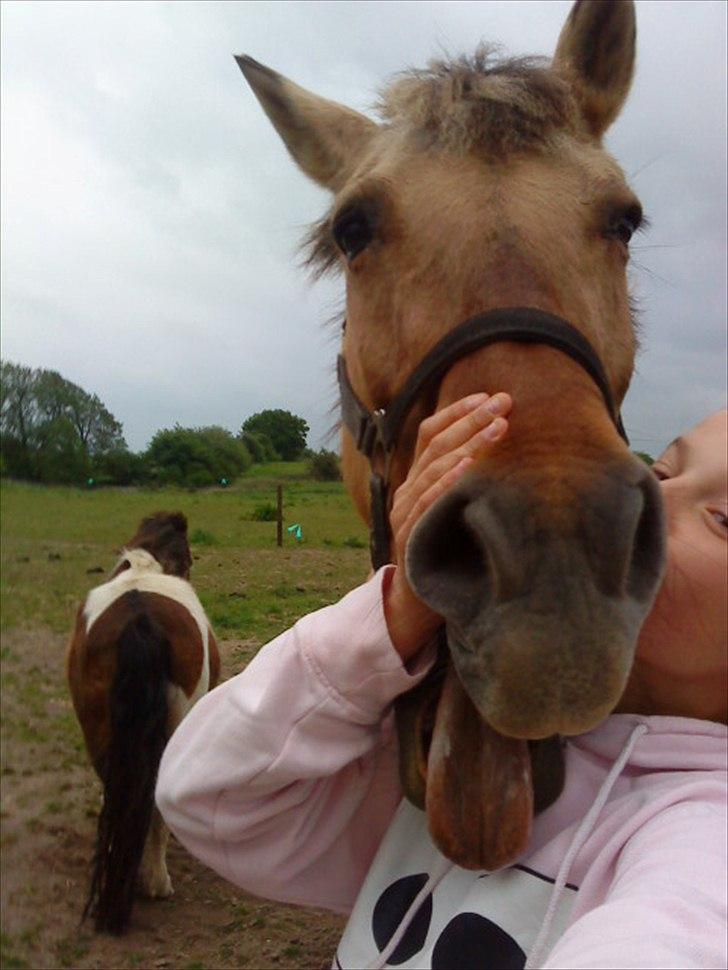Anden særlig race Tikka billede 4
