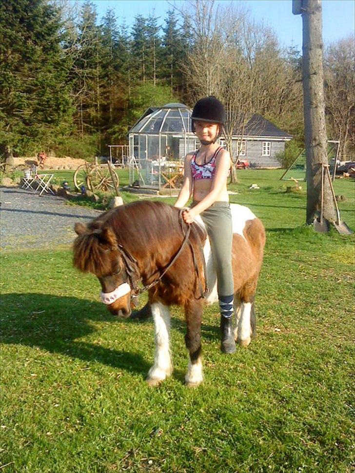 Anden særlig race Bubber R.i.P :'( billede 3