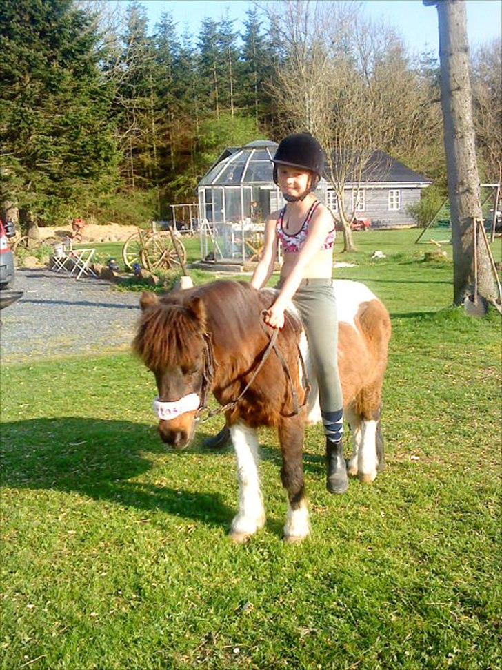 Anden særlig race Bubber R.i.P :'( billede 6