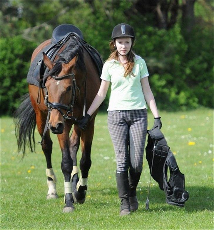 Hannoveraner ROMANA - Efter springtime (: billede 7