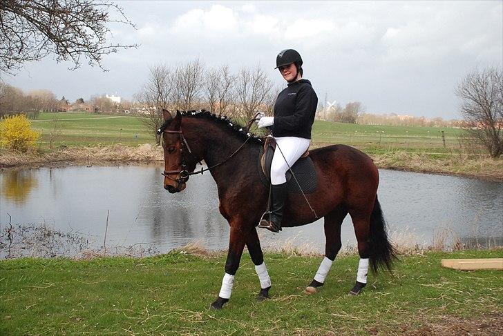 Anden særlig race Celina billede 7