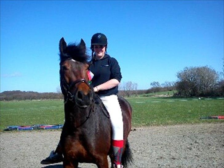 Anden særlig race Celina billede 8