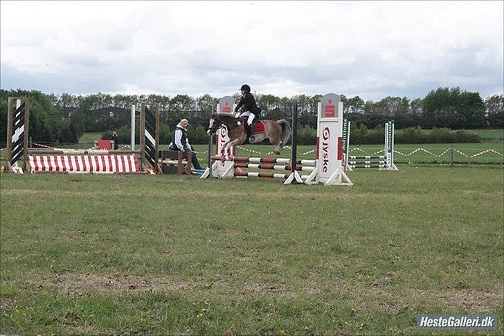 Welsh Pony (sec B) Teggi (SOLGT) - mig og mor i LC(farmland cup) det var sjovt :) billede 19