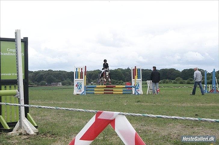 Welsh Pony (sec B) Teggi (SOLGT) - mig og mor i LC (farmland cup) mor elsker det her billede billede 17