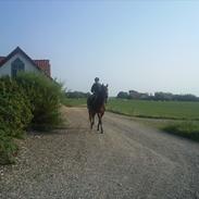 Fuldblod (XX) Soul Driver