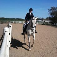 Anden særlig race Frk. Smilla