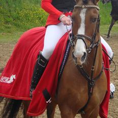 Anden særlig race Cappagh Unique