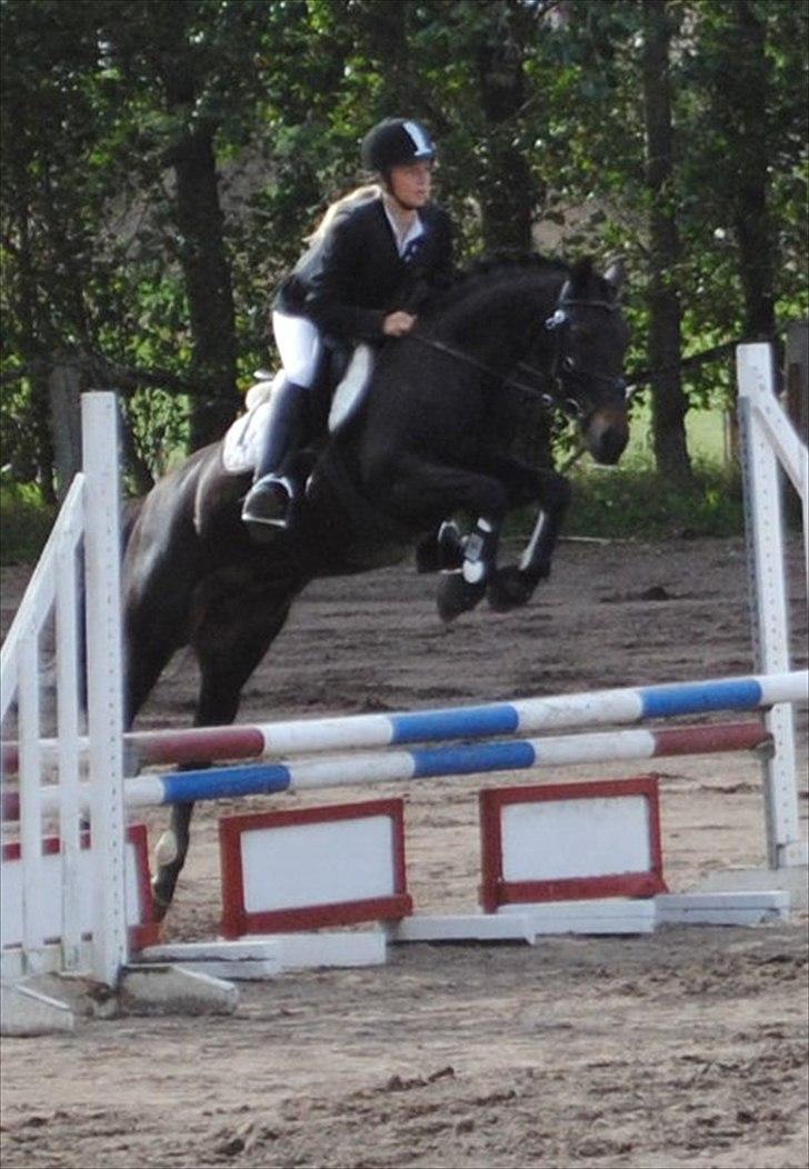 DSP Lerkærs Flicka  billede 4