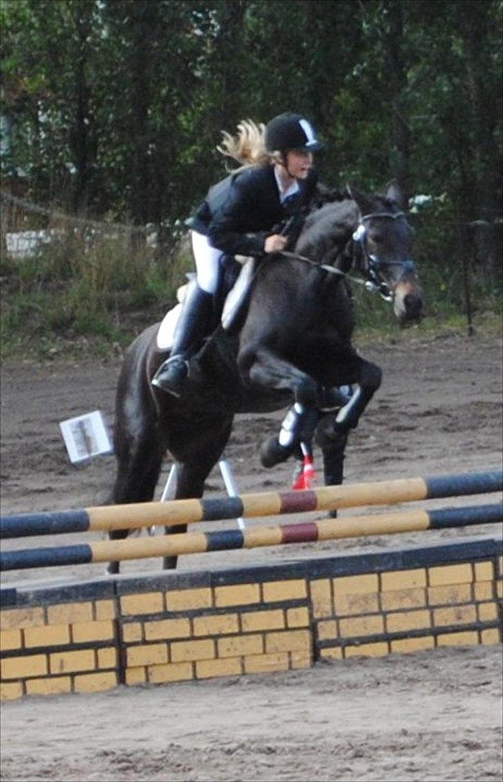 DSP Lerkærs Flicka  billede 7