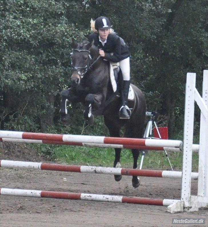 DSP Lerkærs Flicka  billede 11