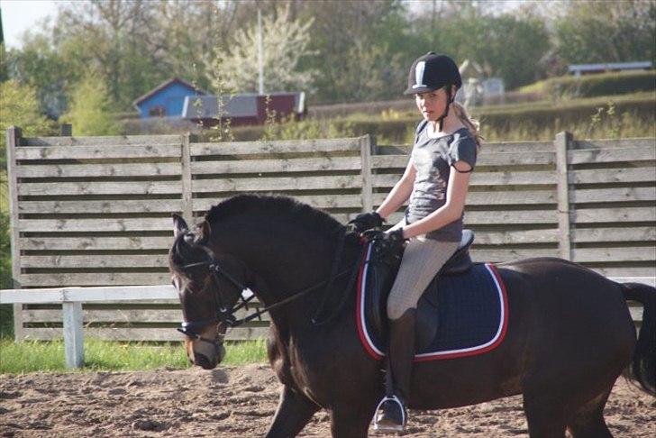 DSP Lerkærs Flicka  billede 12