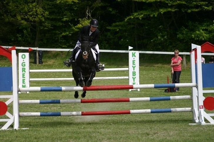 DSP Lerkærs Flicka  - La mors 2009 billede 13