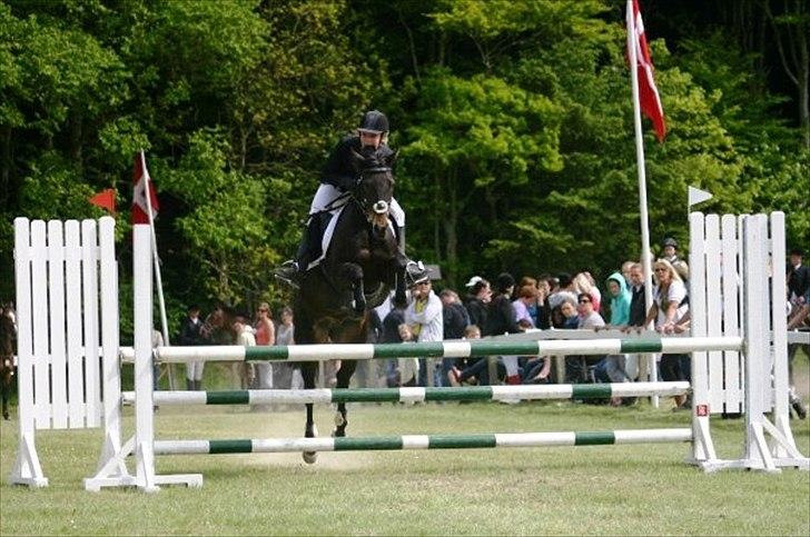 DSP Lerkærs Flicka  - La mors 2009 billede 14