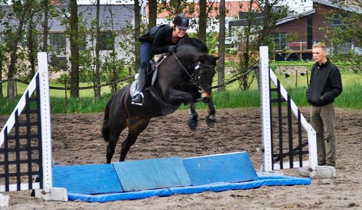 DSP Lerkærs Flicka  billede 16