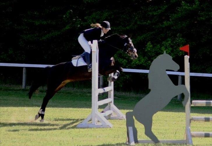 DSP Lerkærs Flicka  - Lb mors 2009 billede 17