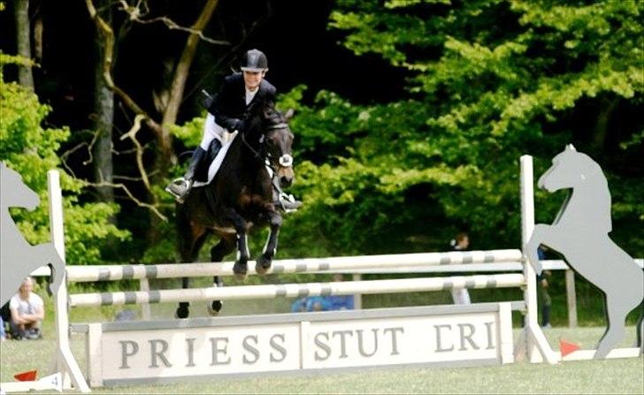 DSP Lerkærs Flicka  - La mors 2009 billede 18