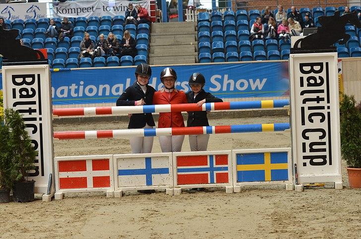 Irsk Sportspony Master Mind   A-pony  - De SUPER seje SØR piger!! billede 8