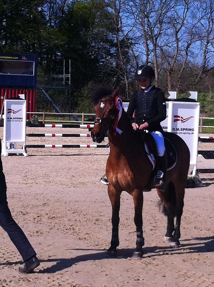 Irsk Sportspony Master Mind   A-pony  - Landstævne i Middelfart. 2 første pladser i MB billede 9