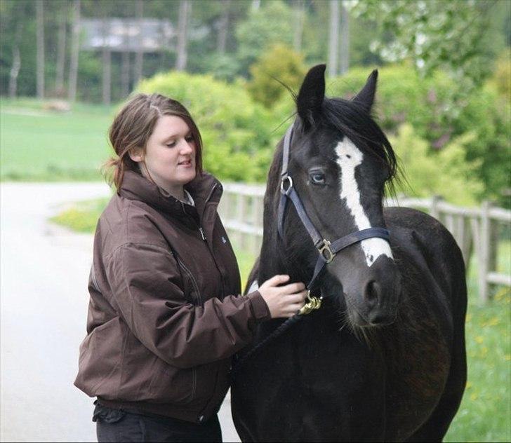 Irish Cob Sir Kalahan ( KALLE ) - Mig og kalle sammen 2. gang jeg var ude og se ham. billede 8