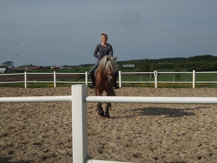 Haflinger Almbue D - :)<33 billede 7