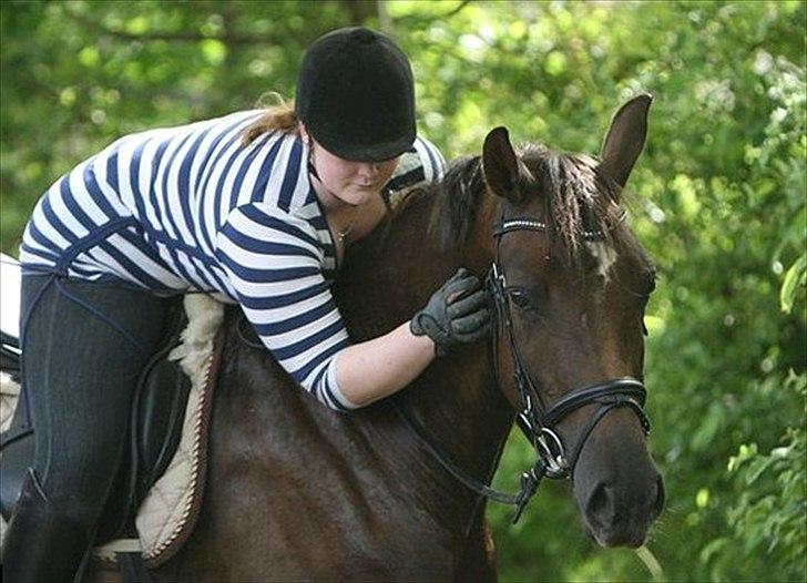 Dansk Varmblod Enghavens Fiona - Elskede baby hest! <3 billede 7