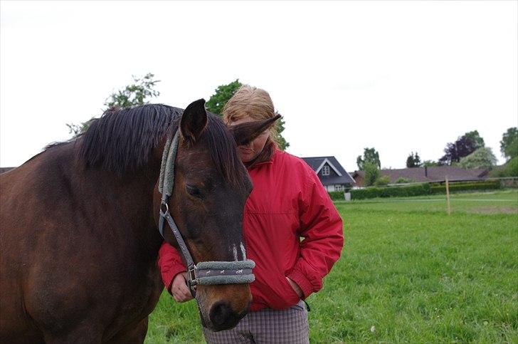Anden særlig race Amanda - Lånehest billede 11