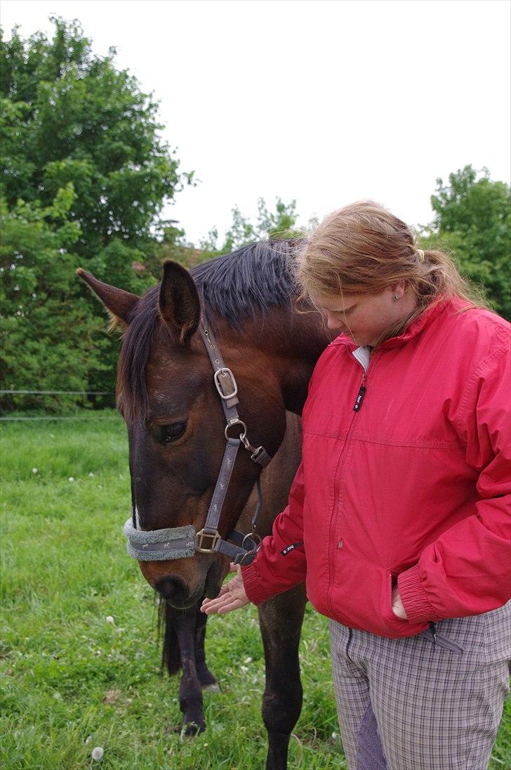 Anden særlig race Amanda - Lånehest billede 12