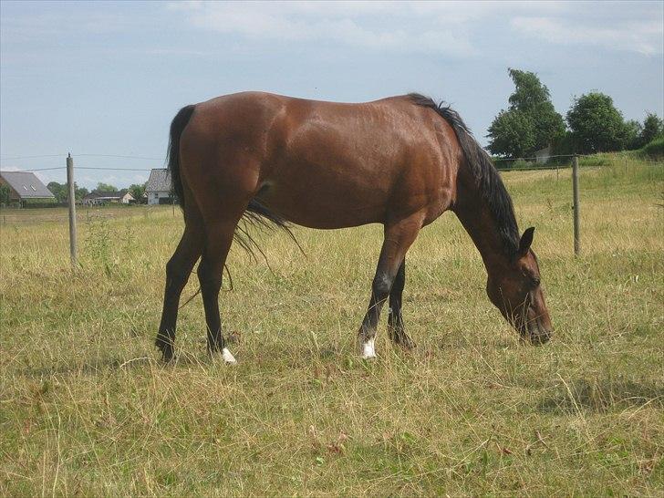 Traver Here To Stay billede 19