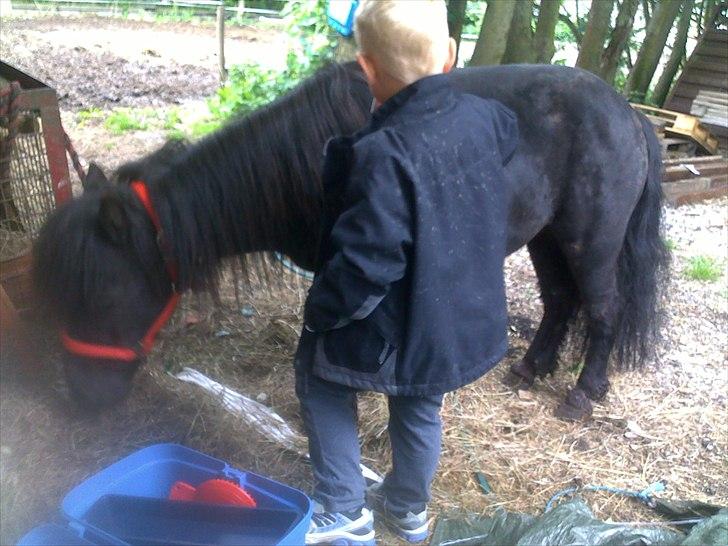 Anden særlig race Antos Kandis - 28/5/2011 Kandis bliver ordnet hver dag:) billede 10
