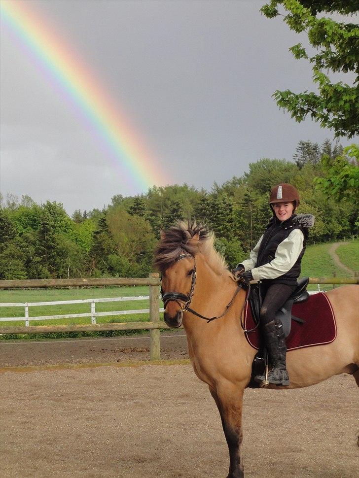 Anden særlig race Åbygårds Tornado - EN SMUK REGNBUE =) billede 6