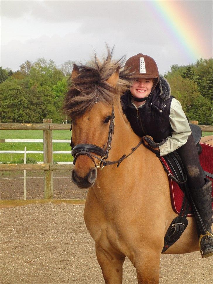 Anden særlig race Åbygårds Tornado - KIG TIL KAMERAET TORNADO OG SÅ ØREN FREM billede 11