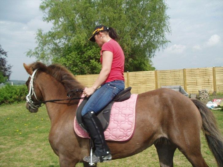 Anden særlig race laura solgt billede 8