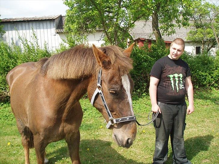 Anden særlig race laura solgt billede 9